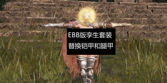 艾尔登法环EBB性感孪生铠甲套MOD